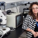 Dr. Alla Reznik